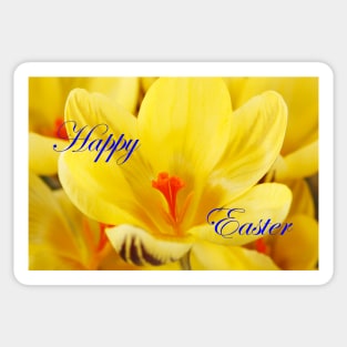Crocus  'Gipsy Girl' with Happy Easter message Sticker